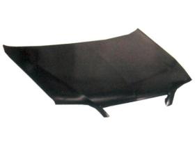 JUMASA 05031055 - CAPO DELANTERO CITROËN XSARA (N) (07/1997 - 08/2000)