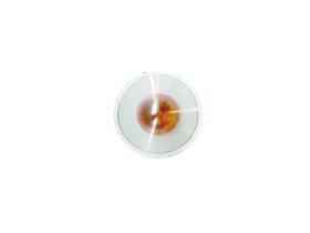 JUMASA 44081221 - TULIPA LATERAL REVERSIBLE TRANSPARENTE FIAT PUNTO (188) (10/