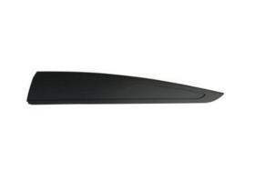 JUMASA 29434005 - MOLDURA PUERTA TRASERA IZQUIERDA SIN AGUJEROS EMBELLECEDOR R