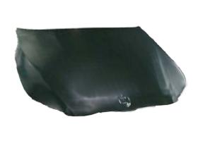 JUMASA 05030540 - CAPO DELANTERO CHAPA BMW 5 (E60) / 5 TOURING (E61) (07/2003